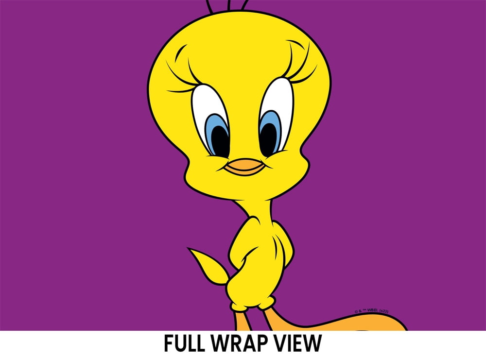 Looney Tunes Official Tweety Bird Pose 20 oz Travel Tumbler, Stainless Steel, Vacuum Insulated with Leak Resistant Slide-Lock Lid
